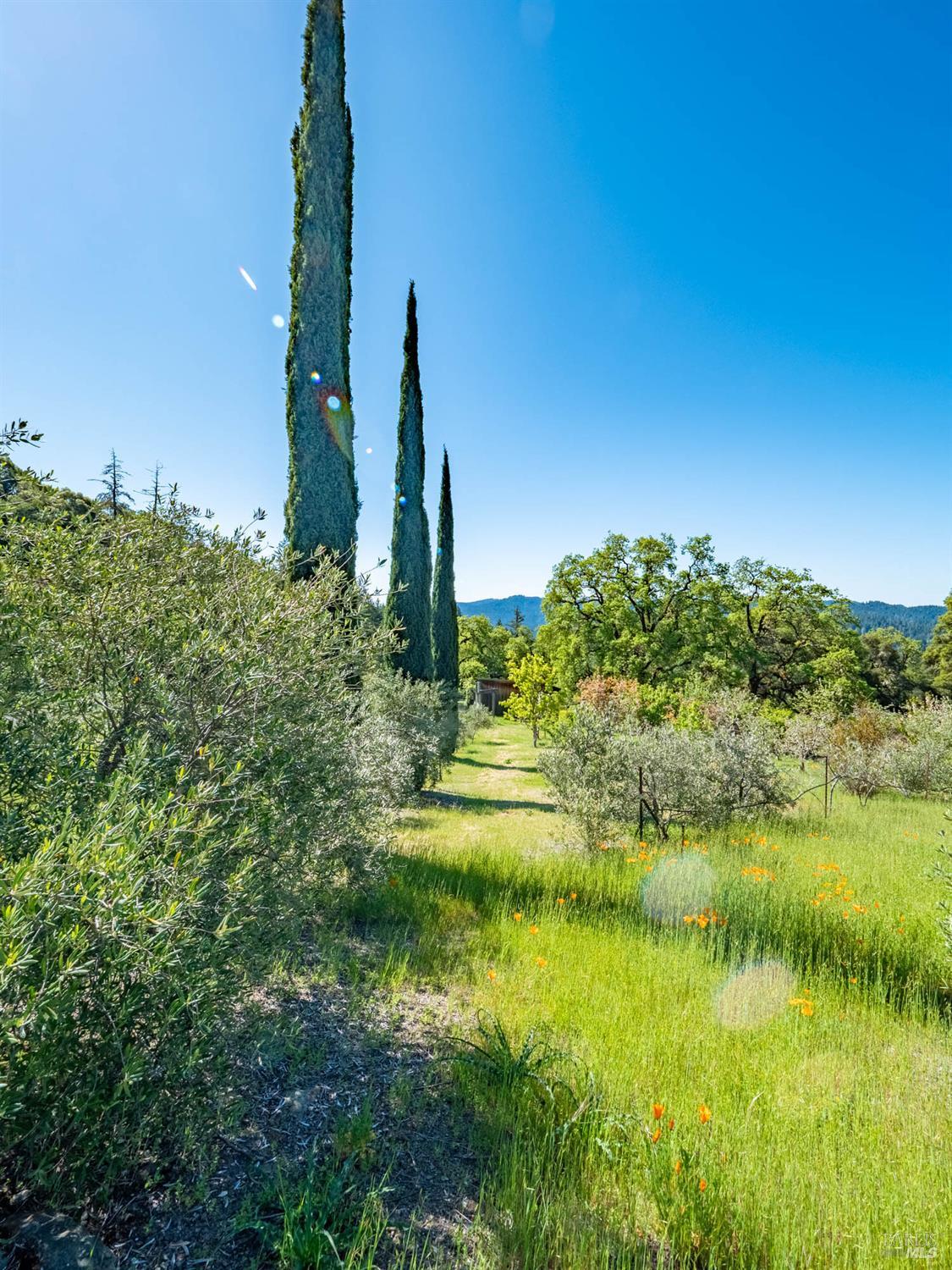 16101 Lost Creek Road Yorkville CA 95494