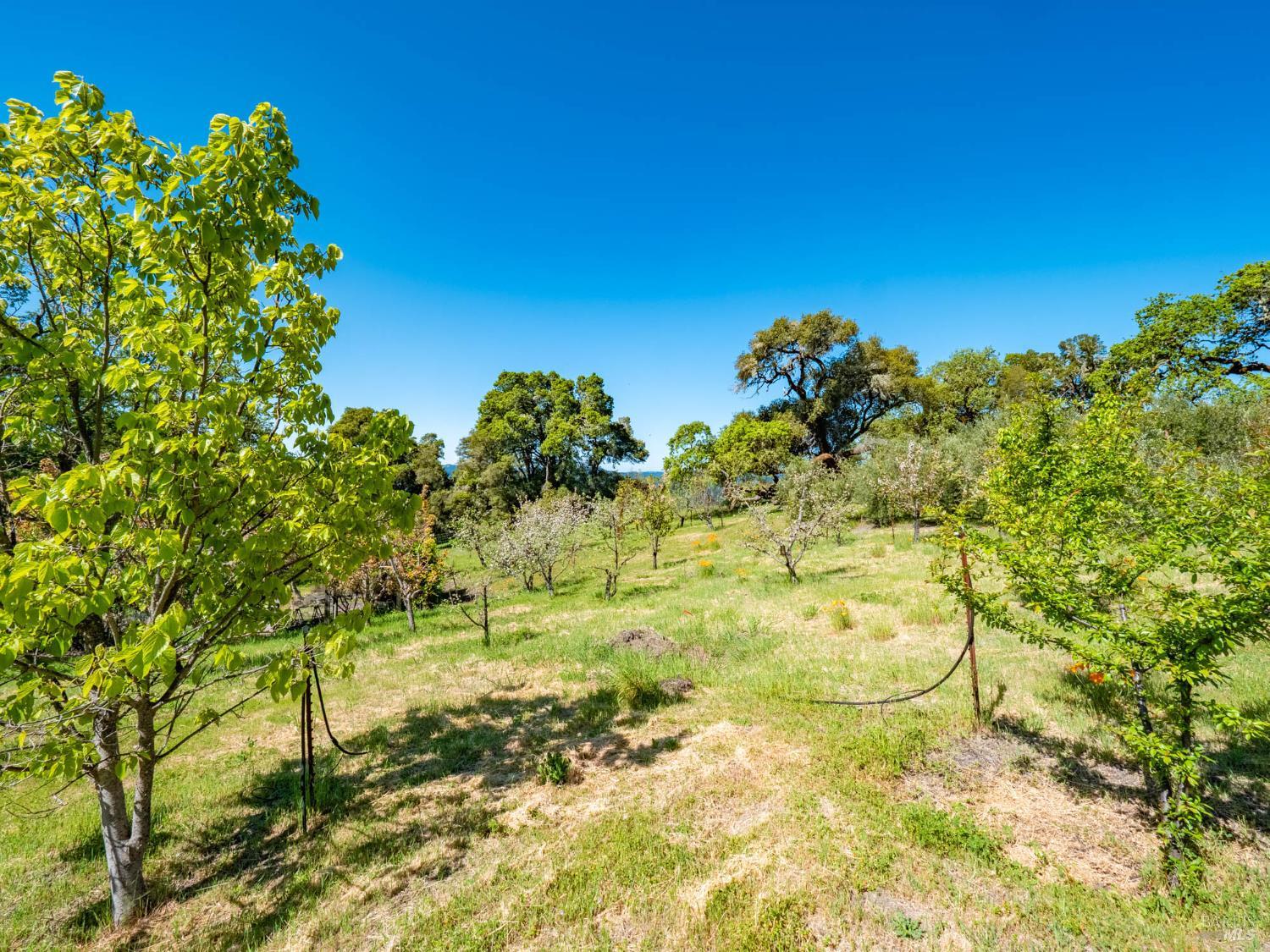 16101 Lost Creek Road Yorkville CA 95494
