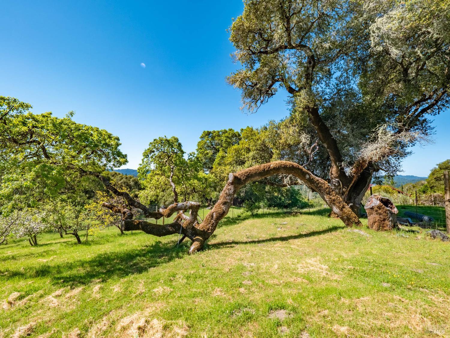 16101 Lost Creek Road Yorkville CA 95494