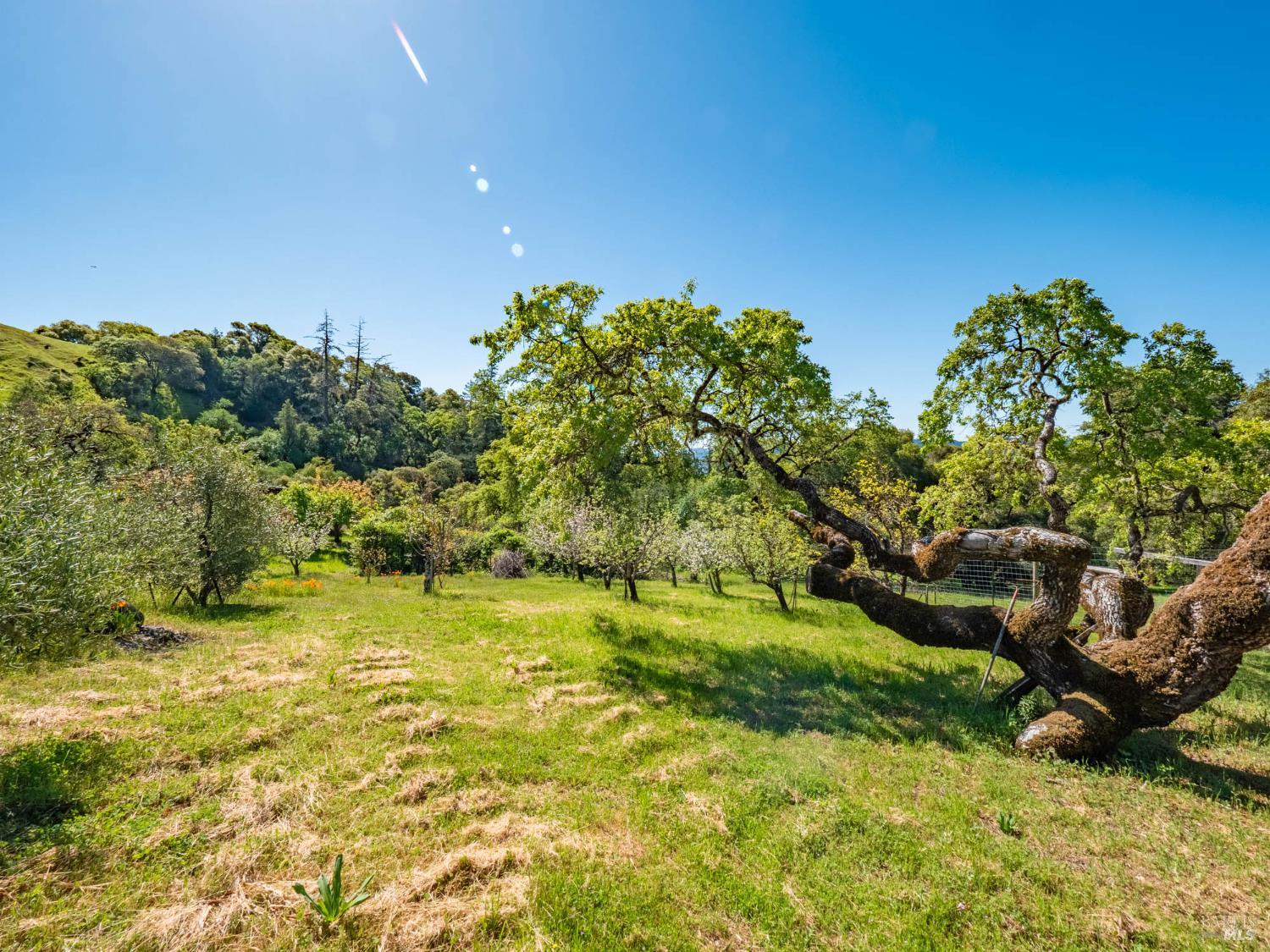 16101 Lost Creek Road Yorkville CA 95494
