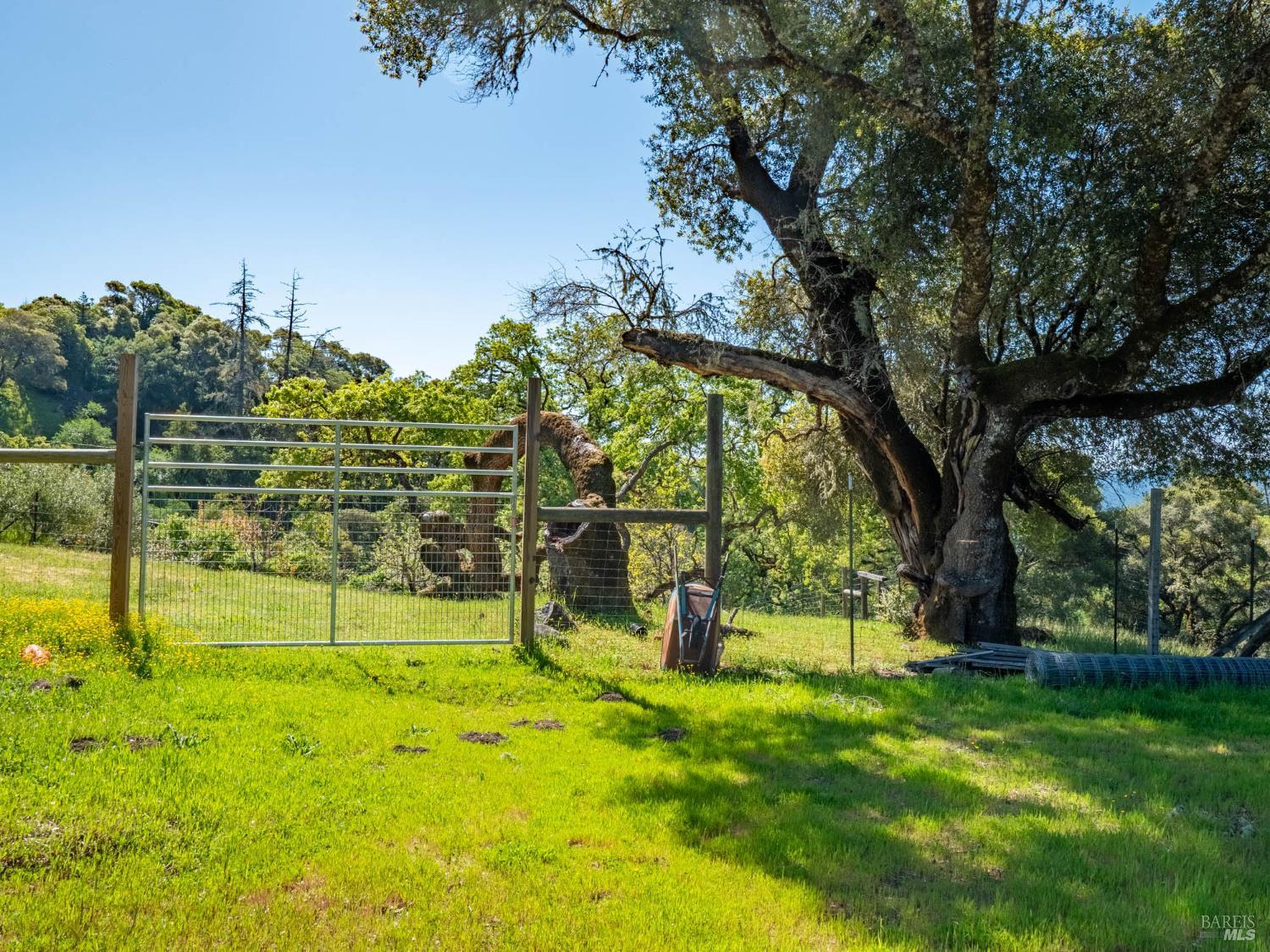 16101 Lost Creek Road Yorkville CA 95494
