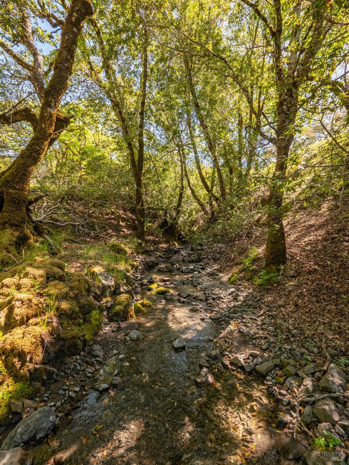 16101 Lost Creek Road Yorkville CA 95494