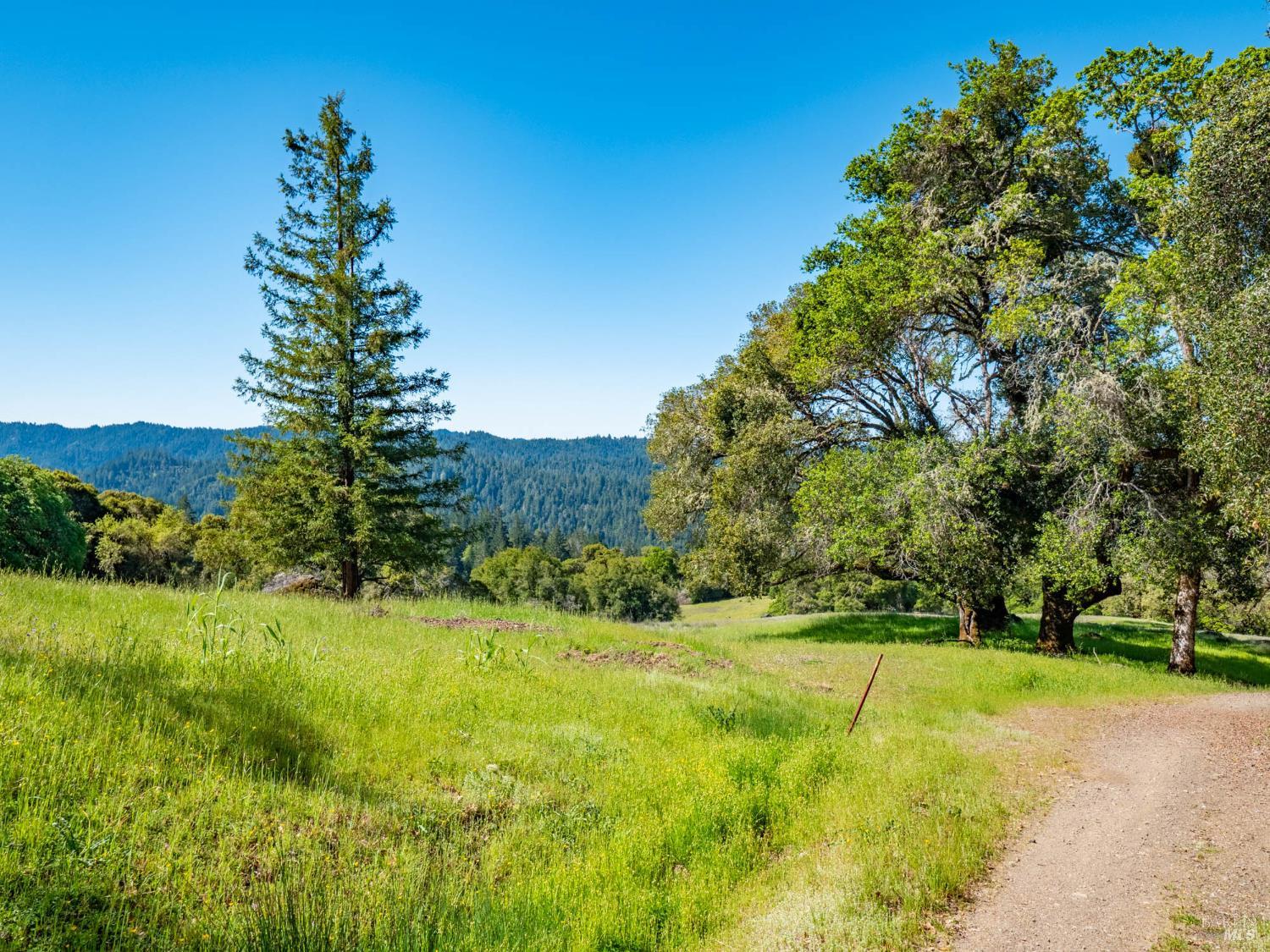 16101 Lost Creek Road Yorkville CA 95494