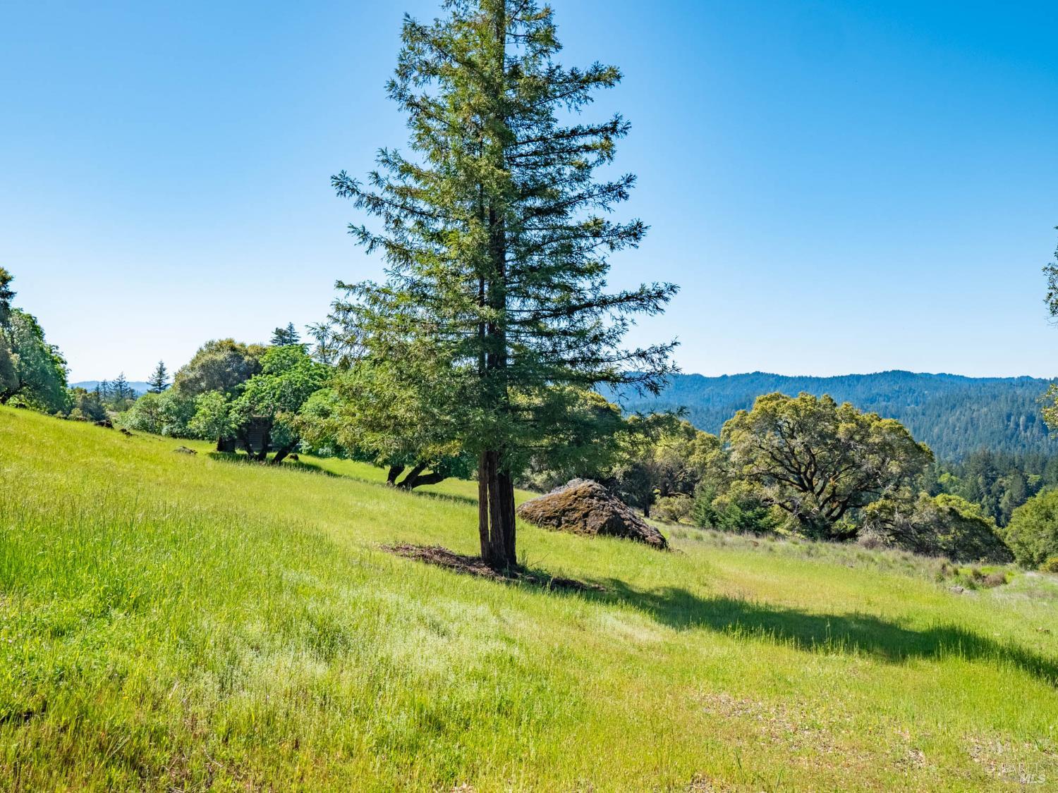 16101 Lost Creek Road Yorkville CA 95494