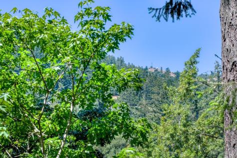 15 Mountain View Avenue Lagunitas CA 94938