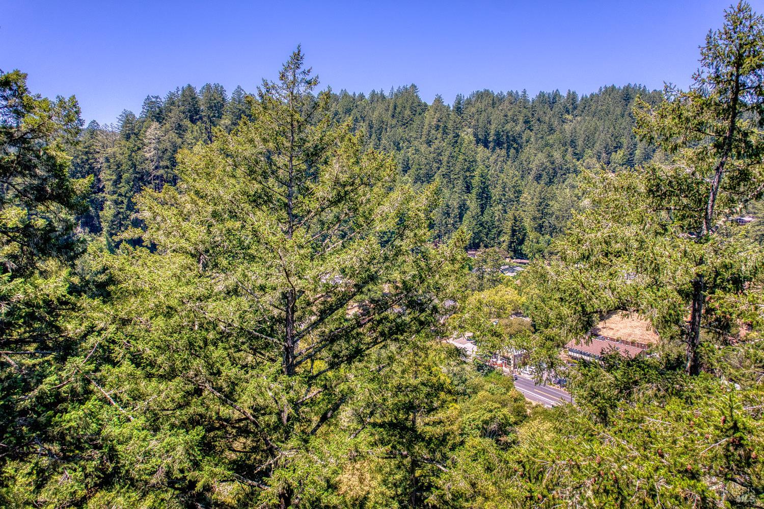 15 Mountain View Avenue Lagunitas CA 94938