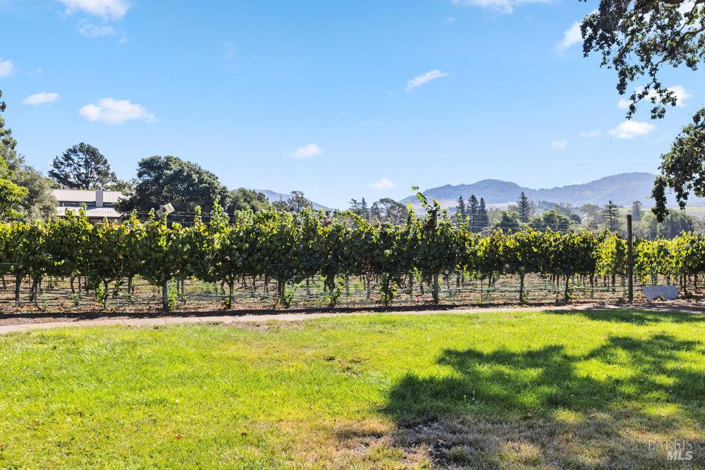1022 Berry Lane Napa CA 94558