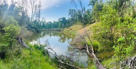 Lower Lake CA 95457
