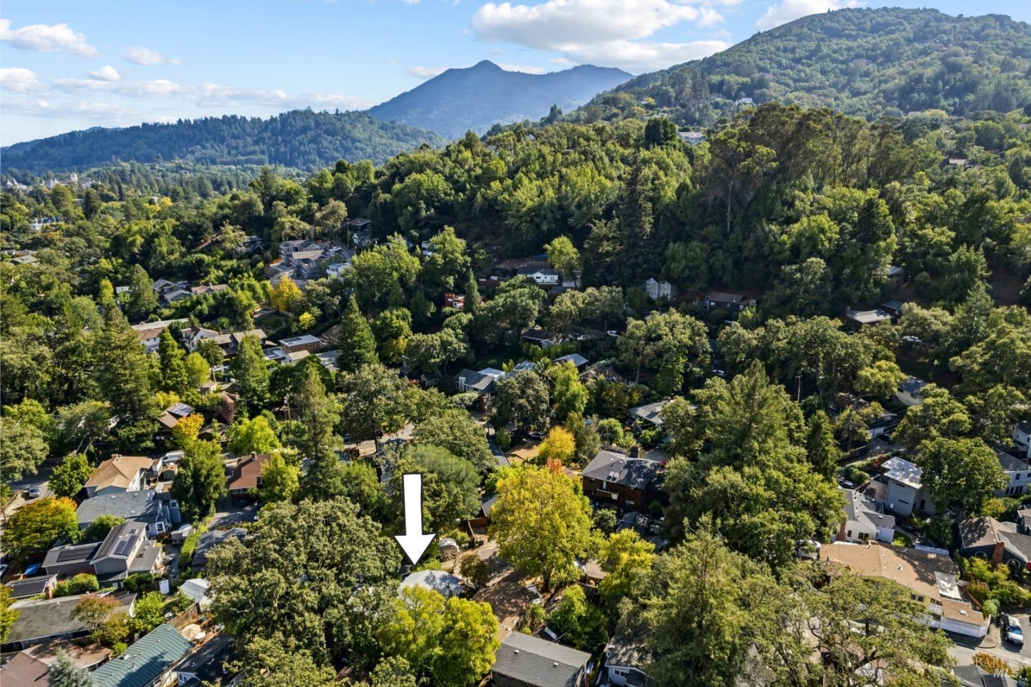 29 Rowland Court San Anselmo CA 94960
