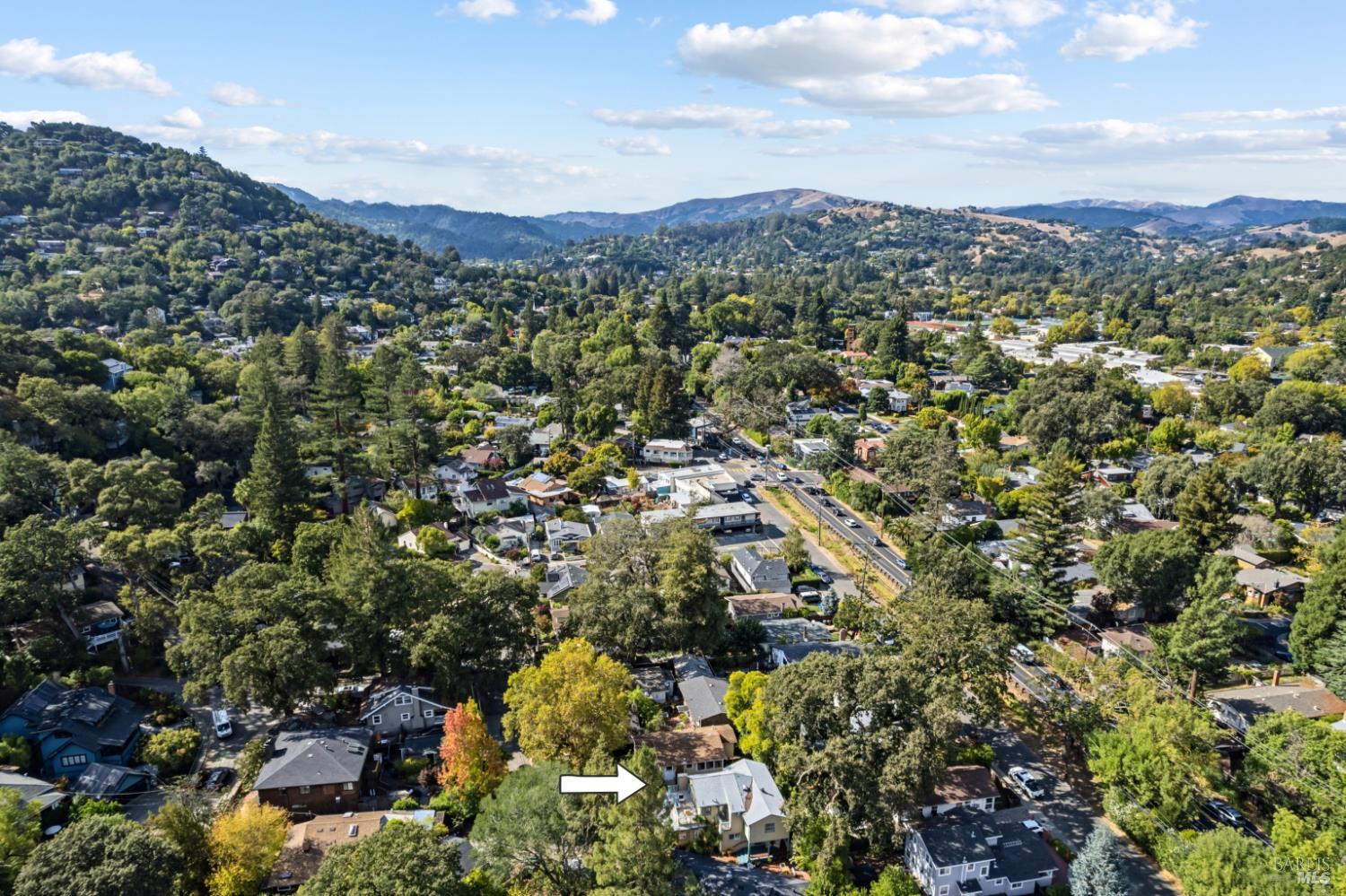 29 Rowland Court San Anselmo CA 94960