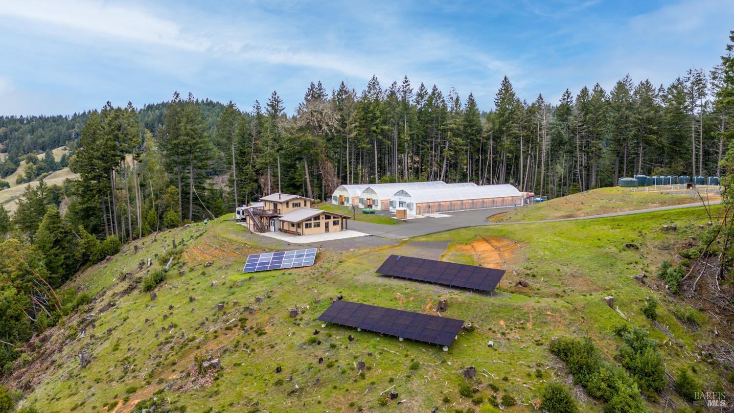 Willits CA 95454