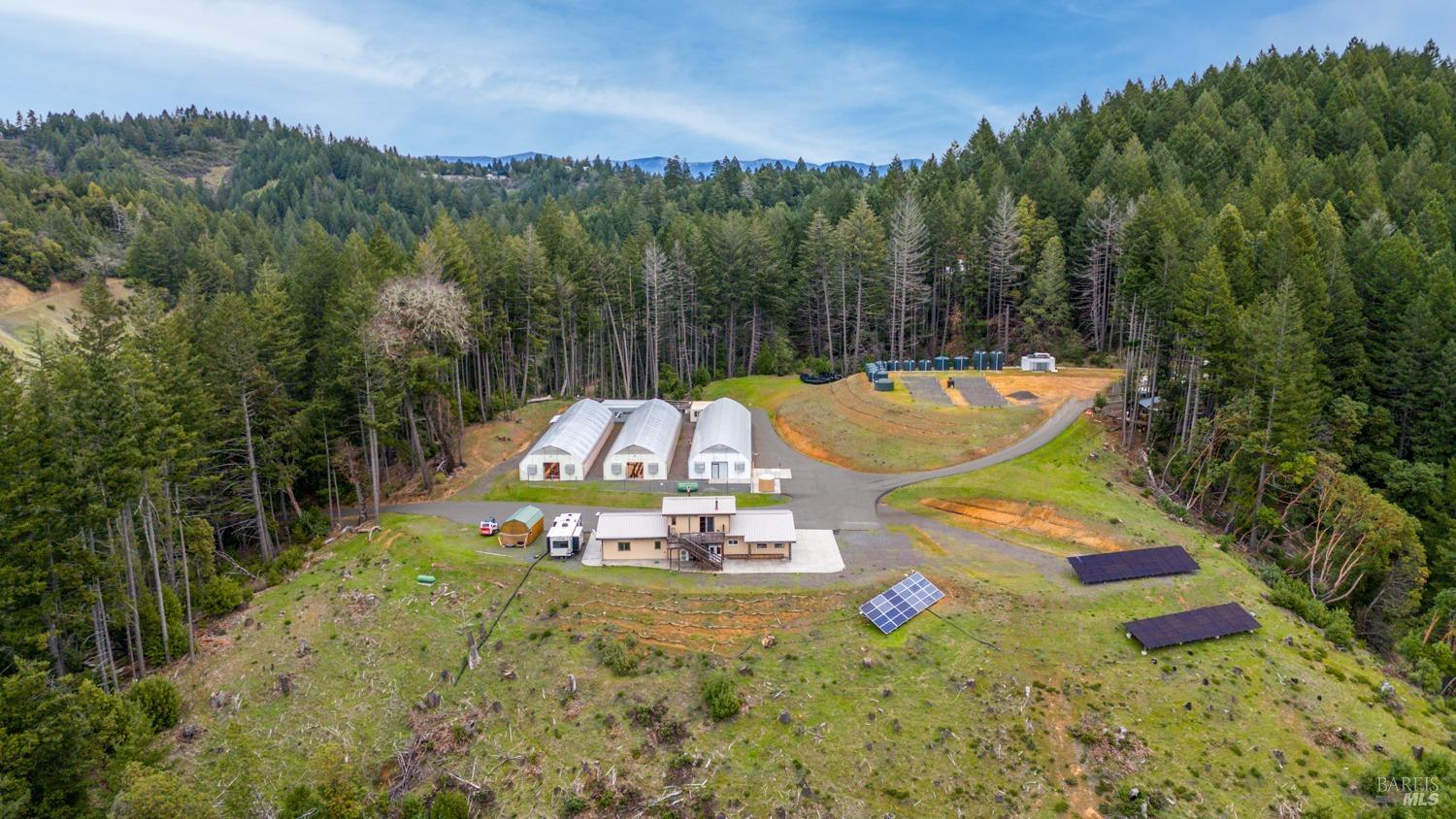 Willits CA 95454