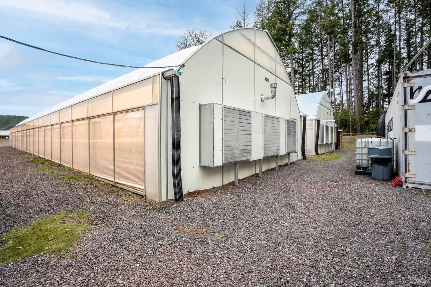 Willits CA 95454