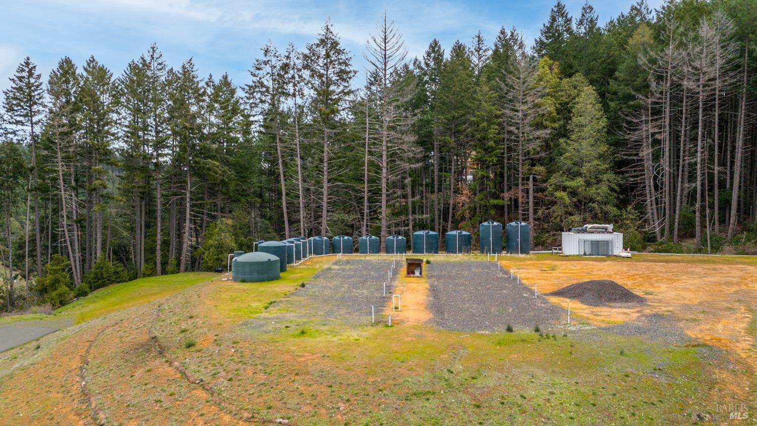 Willits CA 95454