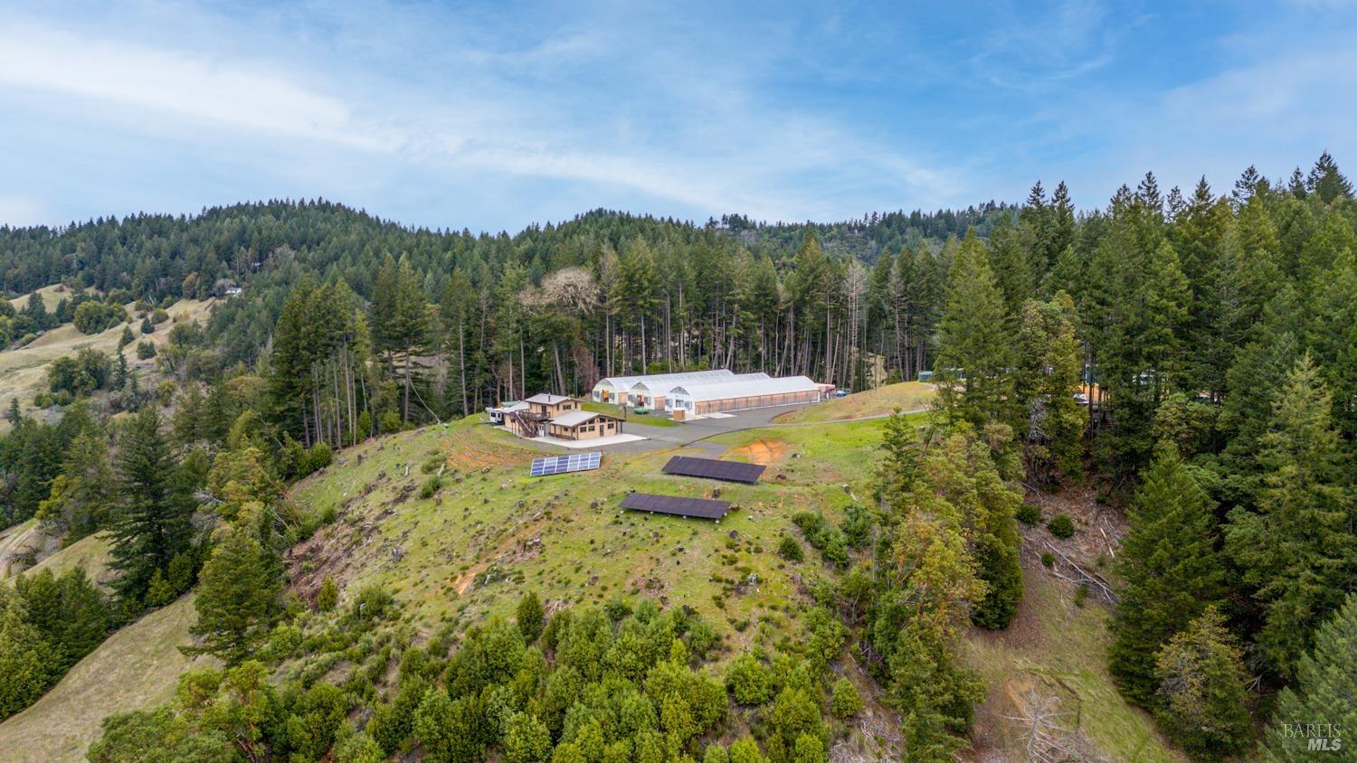Willits CA 95454
