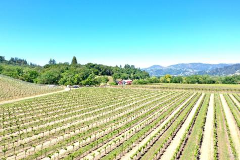 4951 W Soda Rock Lane Healdsburg CA 95448