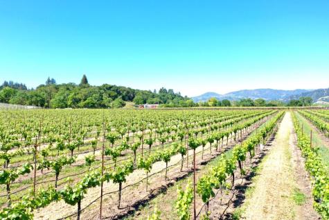 4951 W Soda Rock Lane Healdsburg CA 95448