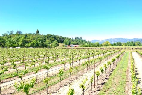 4951 W Soda Rock Lane Healdsburg CA 95448