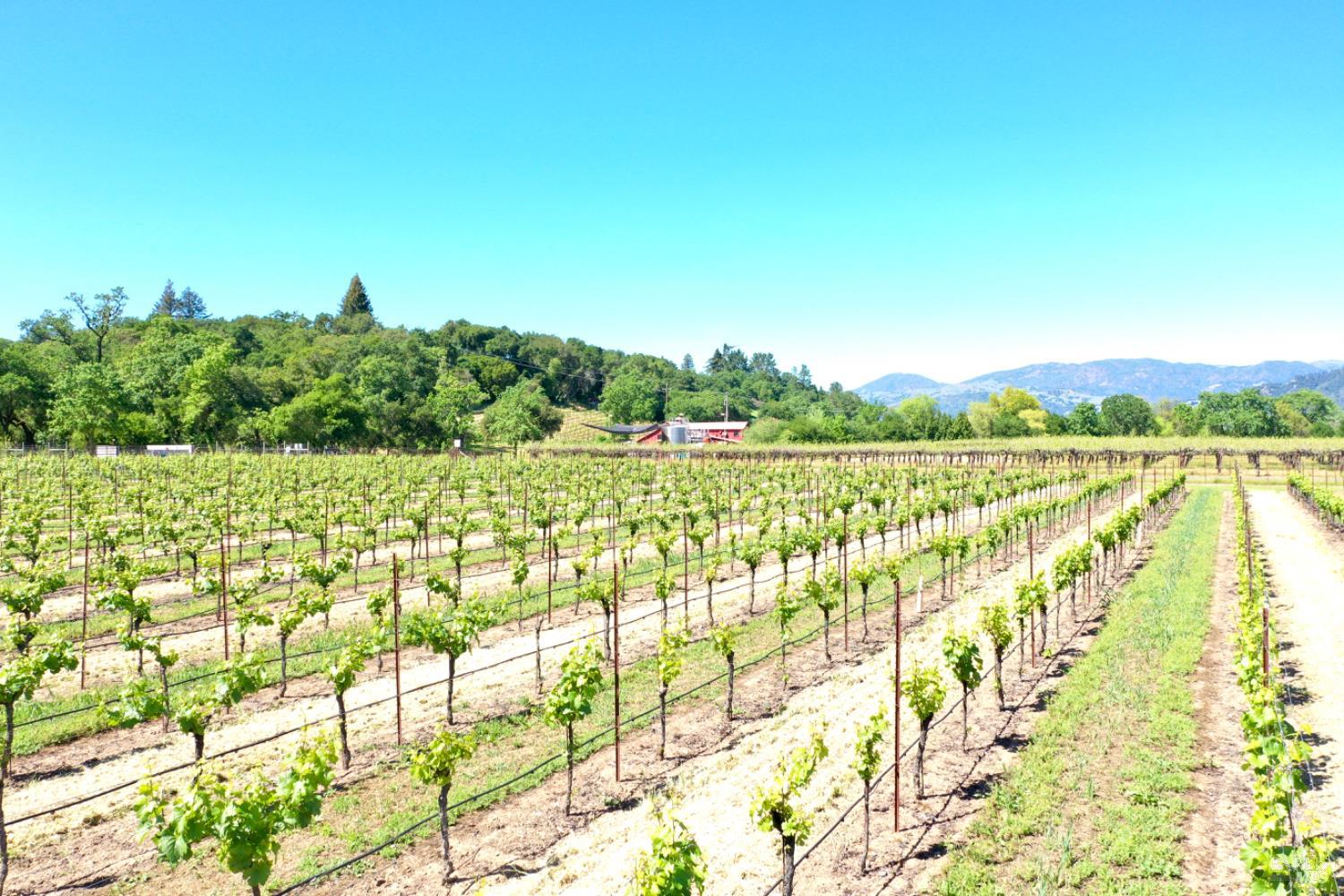 4951 W Soda Rock Lane Healdsburg CA 95448