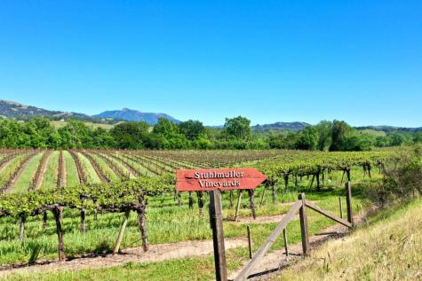 4951 W Soda Rock Lane Healdsburg CA 95448