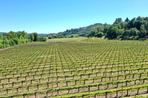 4951 W Soda Rock Lane Healdsburg CA 95448