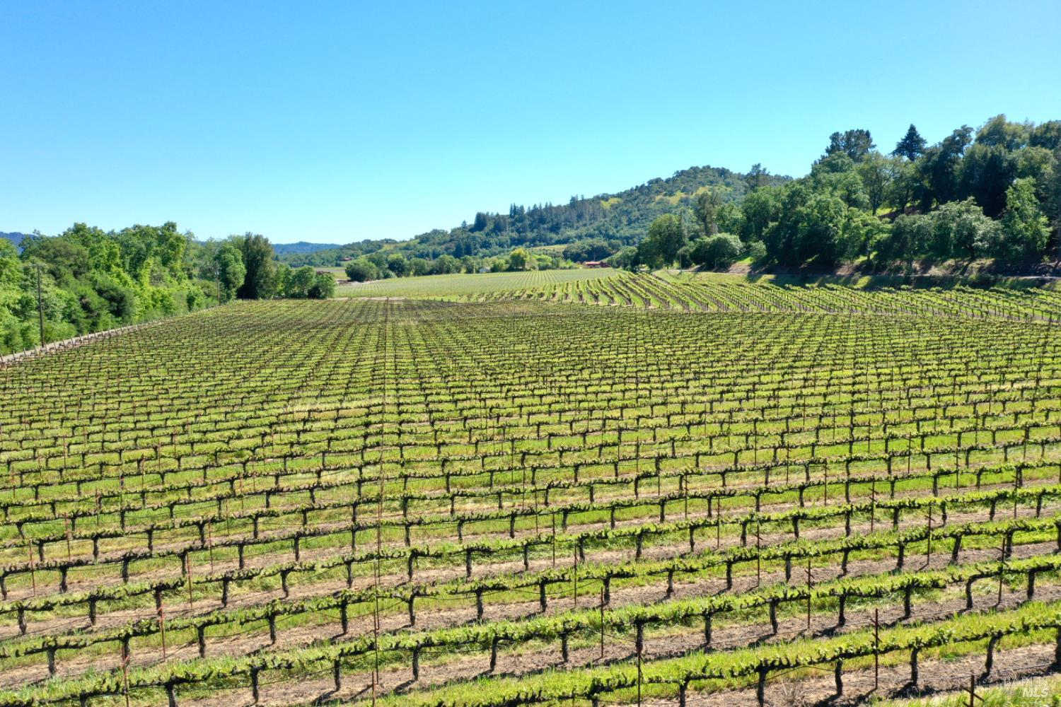 4951 W Soda Rock Lane Healdsburg CA 95448