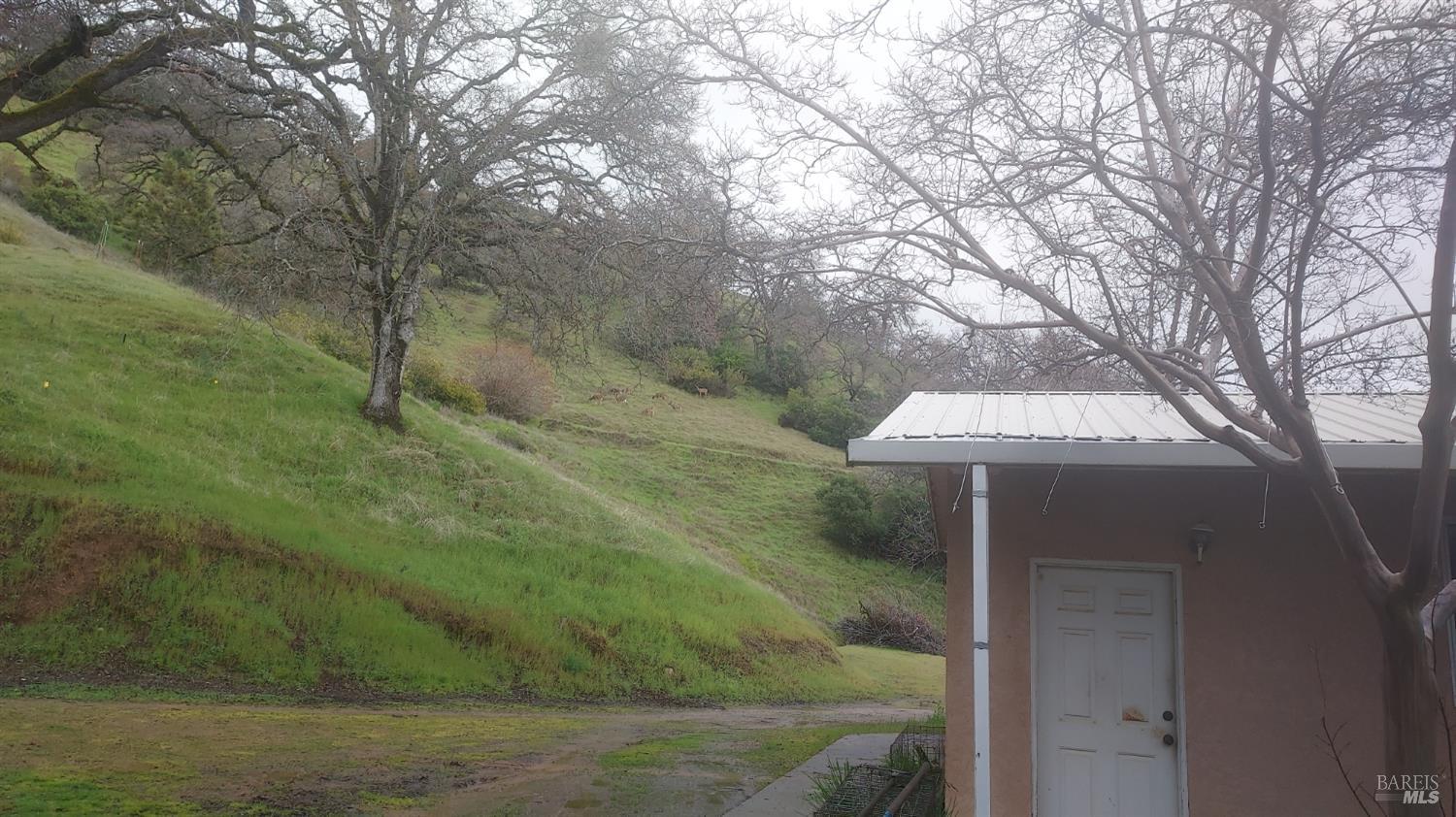4950 Bartlett Springs Road Nice CA 95464