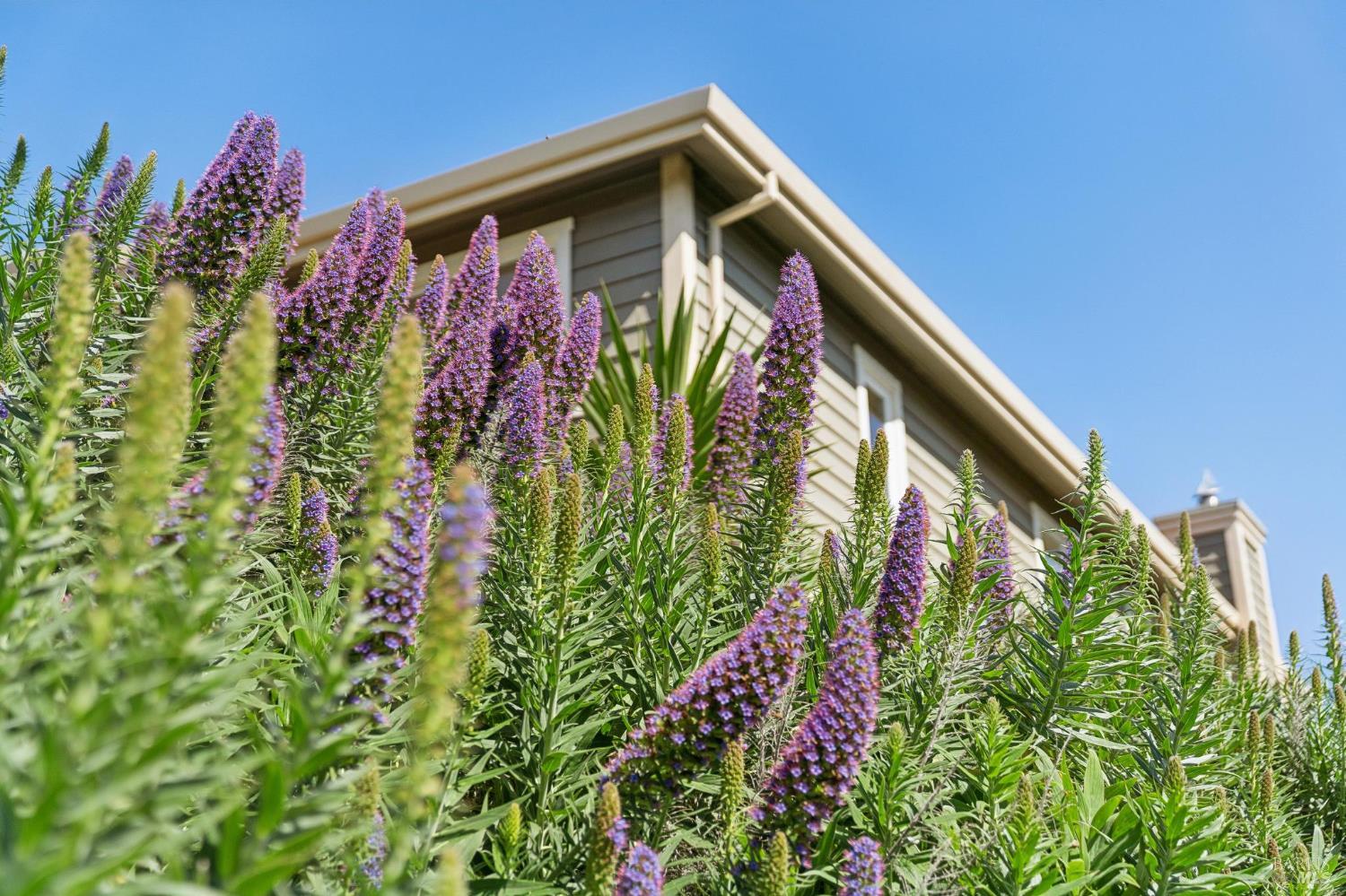 11798 Highway 1 Point Reyes Station CA 94956