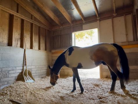 4560 Lovall Valley Loop Road Sonoma CA 95476