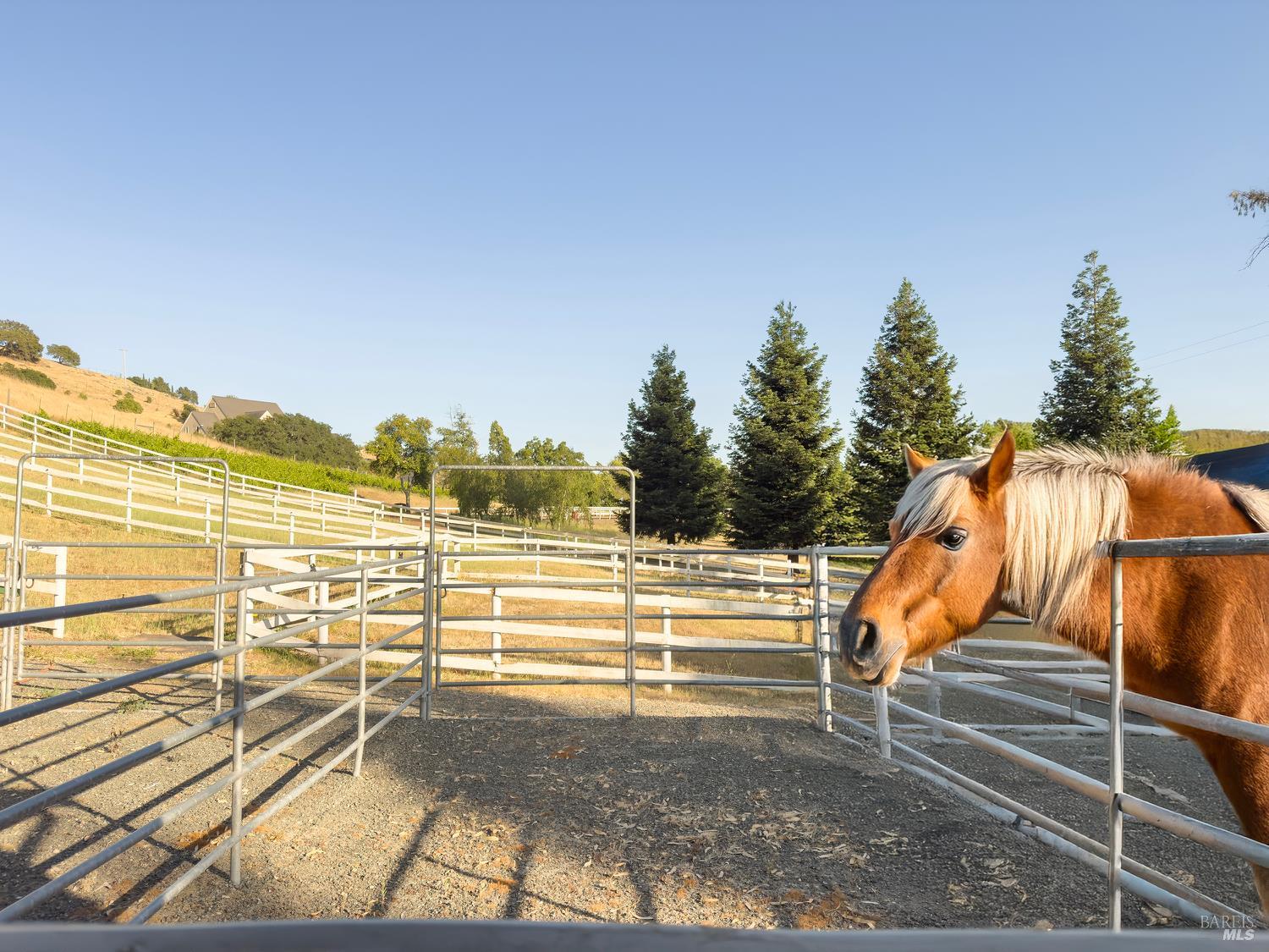 4560 Lovall Valley Loop Road Sonoma CA 95476