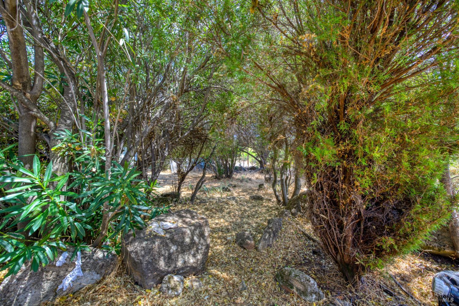 10055 Monte Cristo Drive Kelseyville CA 95451
