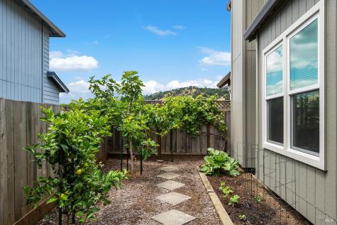 5762 Owls Nest Drive Santa Rosa CA 95409