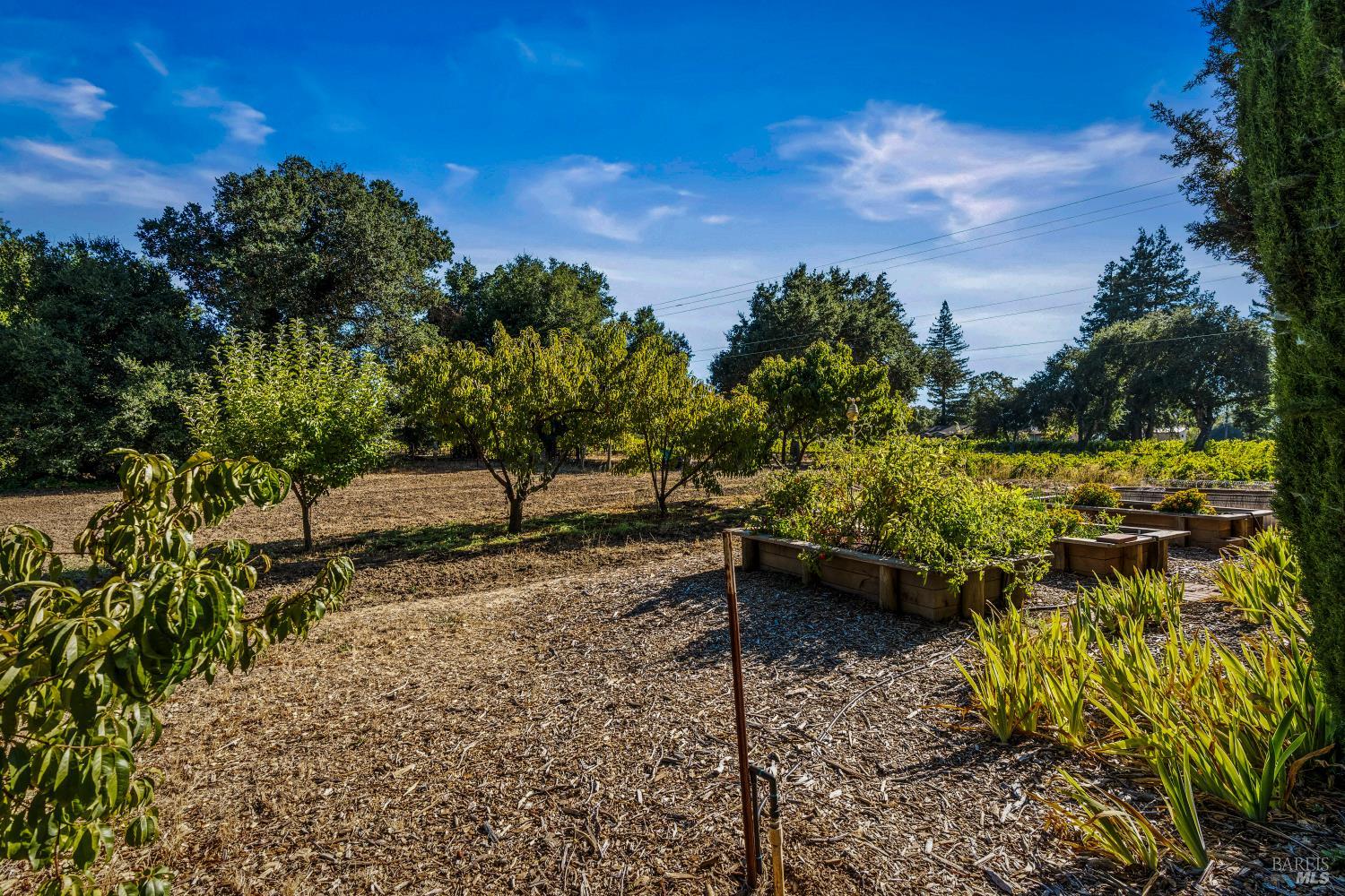 1177 Ragatz Lane Napa CA 94558