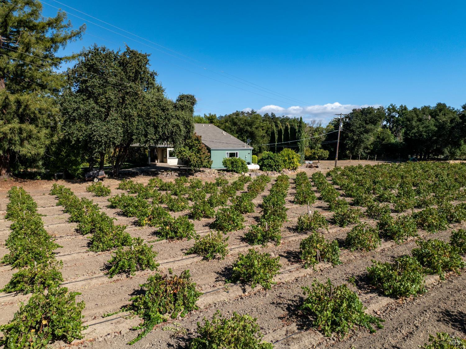 1177 Ragatz Lane Napa CA 94558