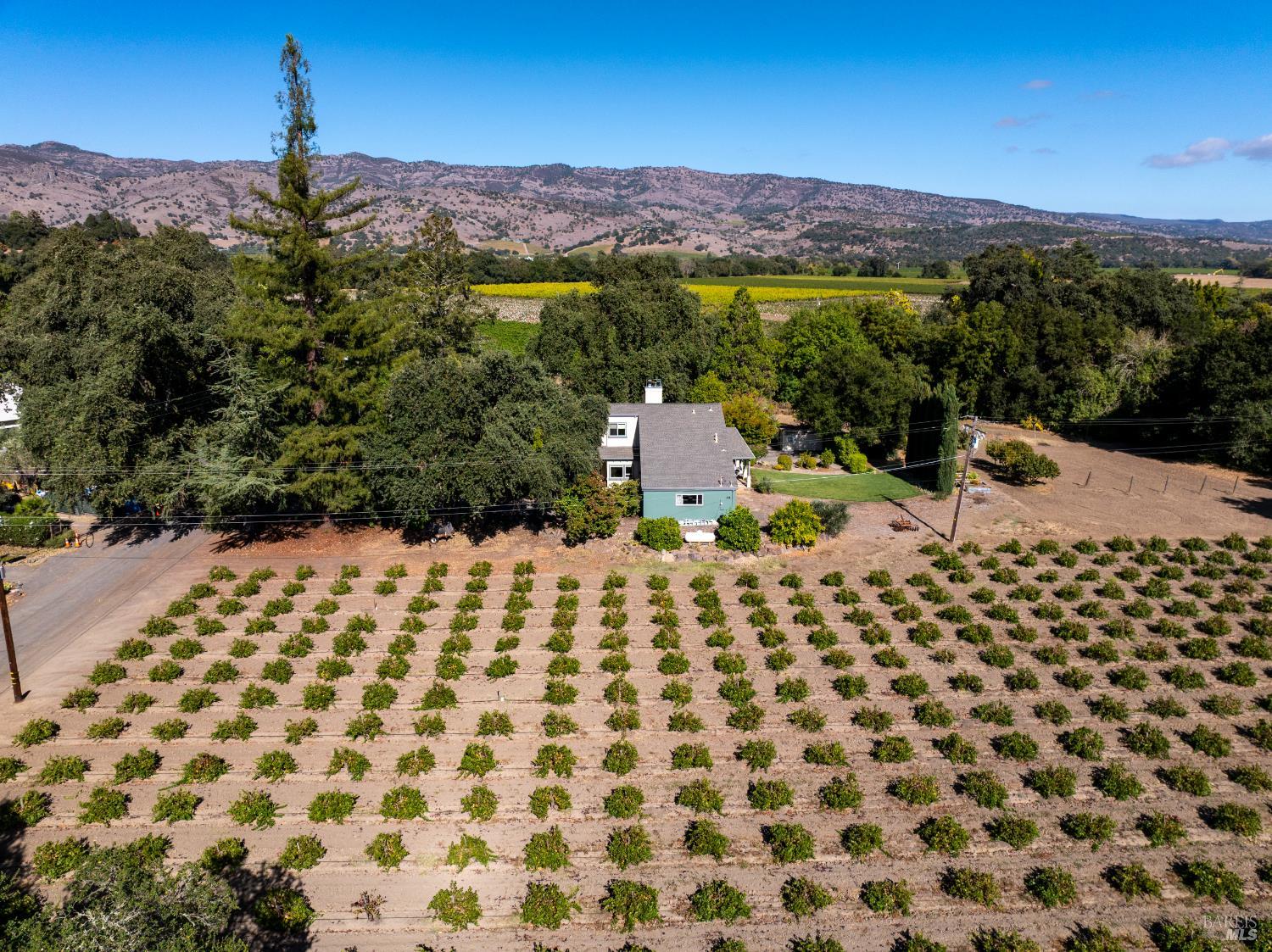 1177 Ragatz Lane Napa CA 94558