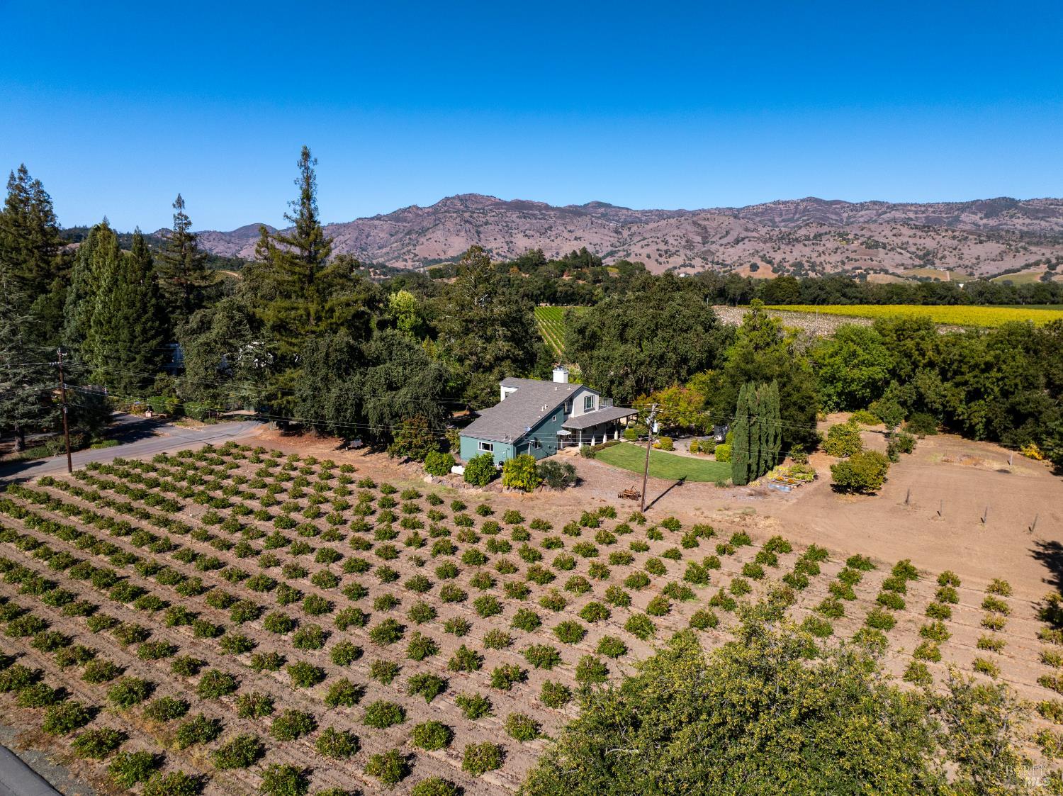 1177 Ragatz Lane Napa CA 94558