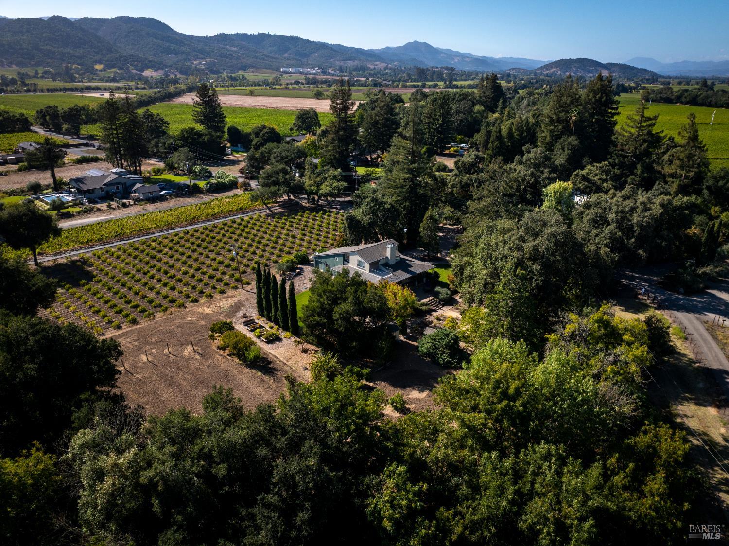 1177 Ragatz Lane Napa CA 94558