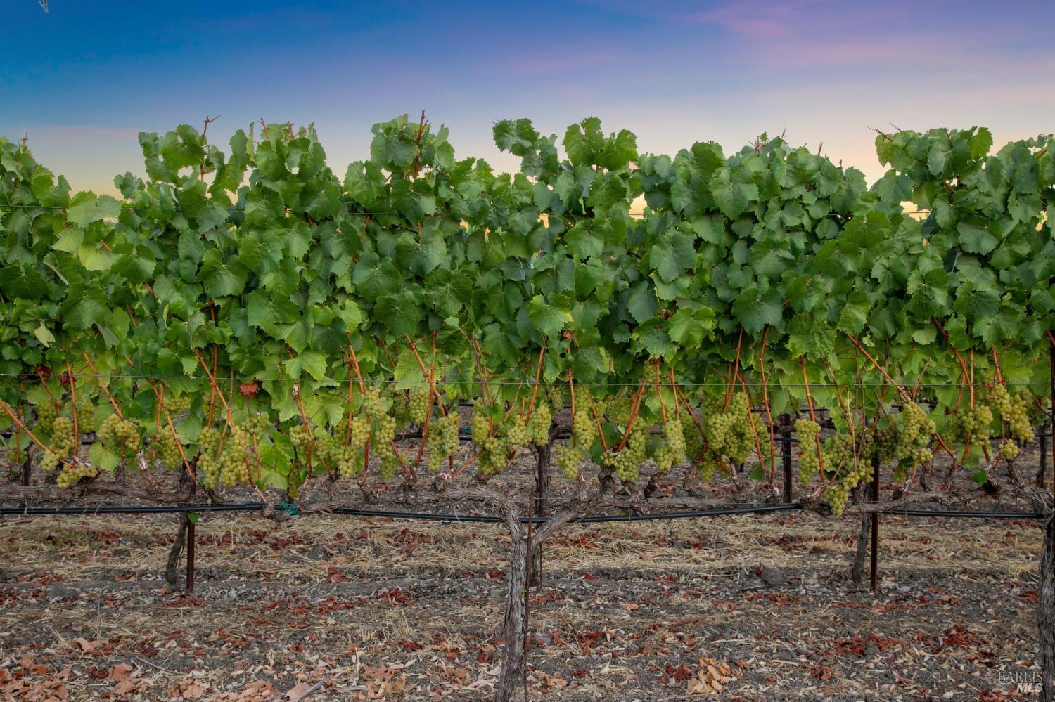 4125 Big Ranch Road Napa CA 94558