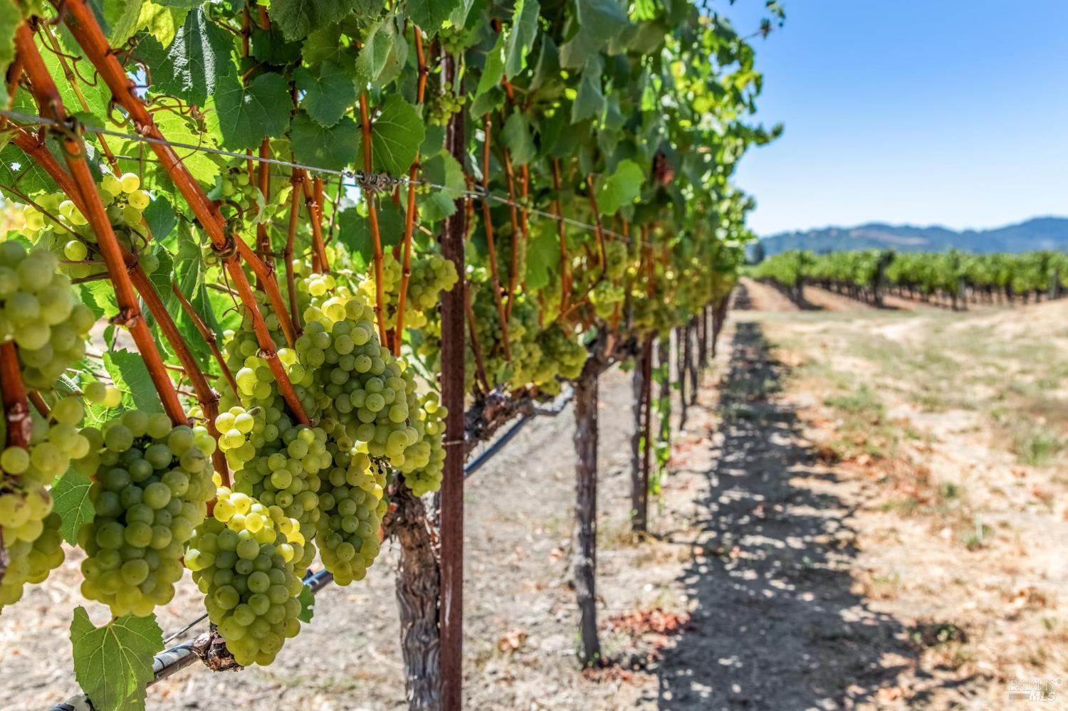 4125 Big Ranch Road Napa CA 94558