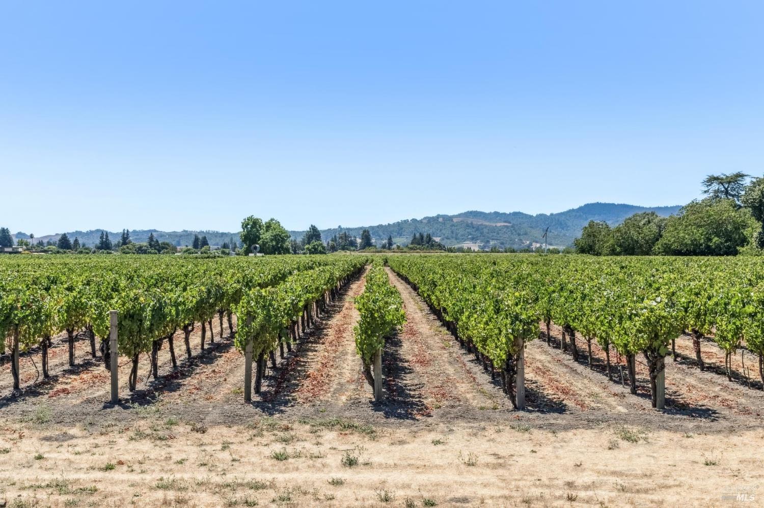 4125 Big Ranch Road Napa CA 94558