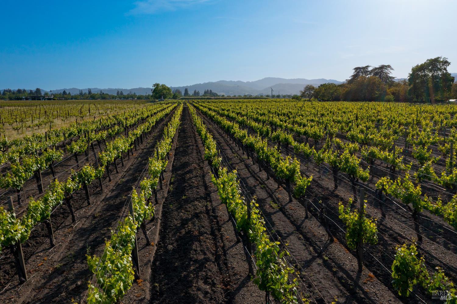 4125 Big Ranch Road Napa CA 94558