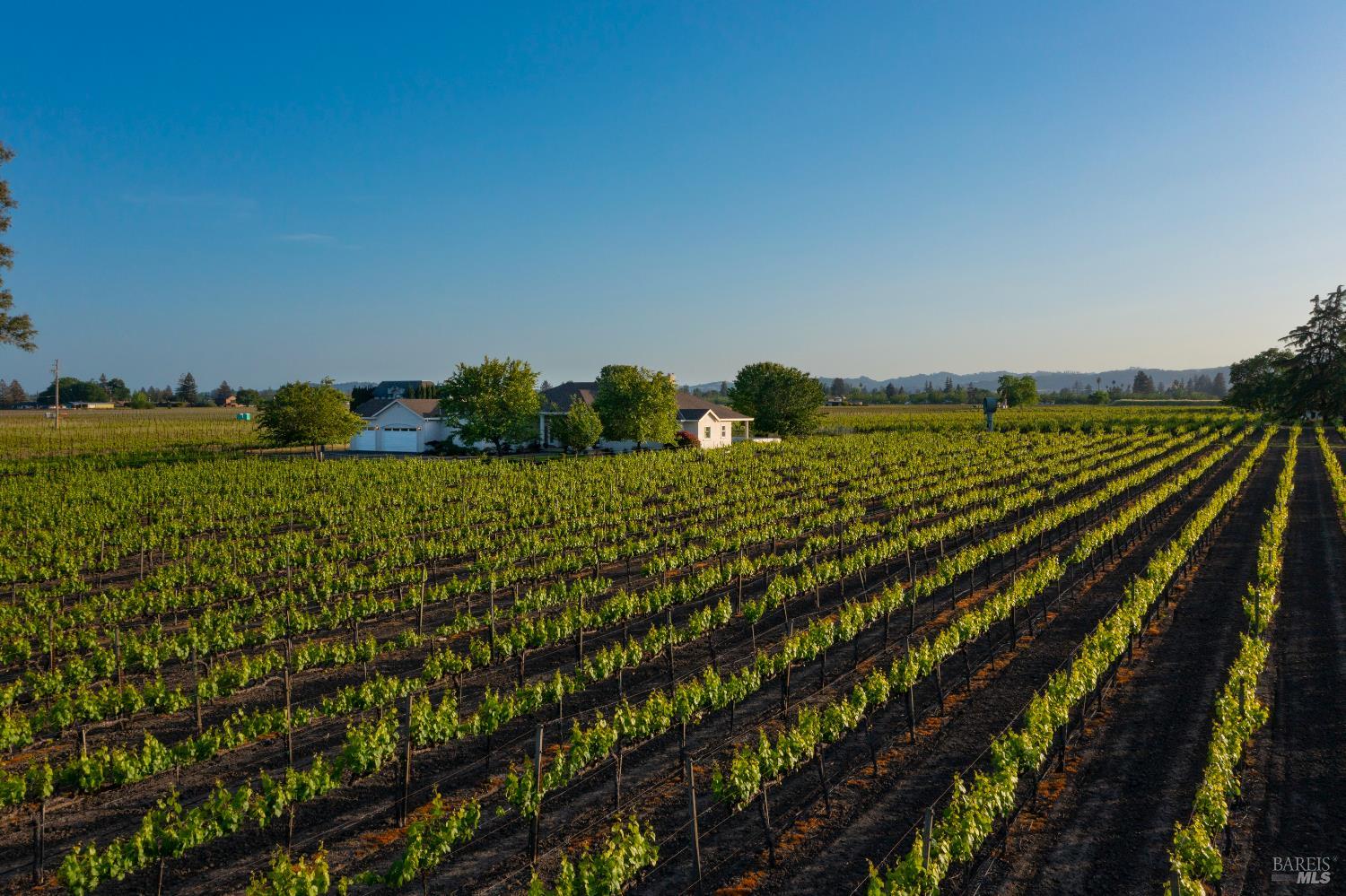 4125 Big Ranch Road Napa CA 94558