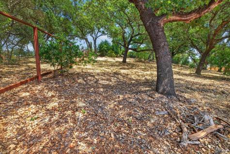 1907 Carlile Place Santa Rosa CA 95403