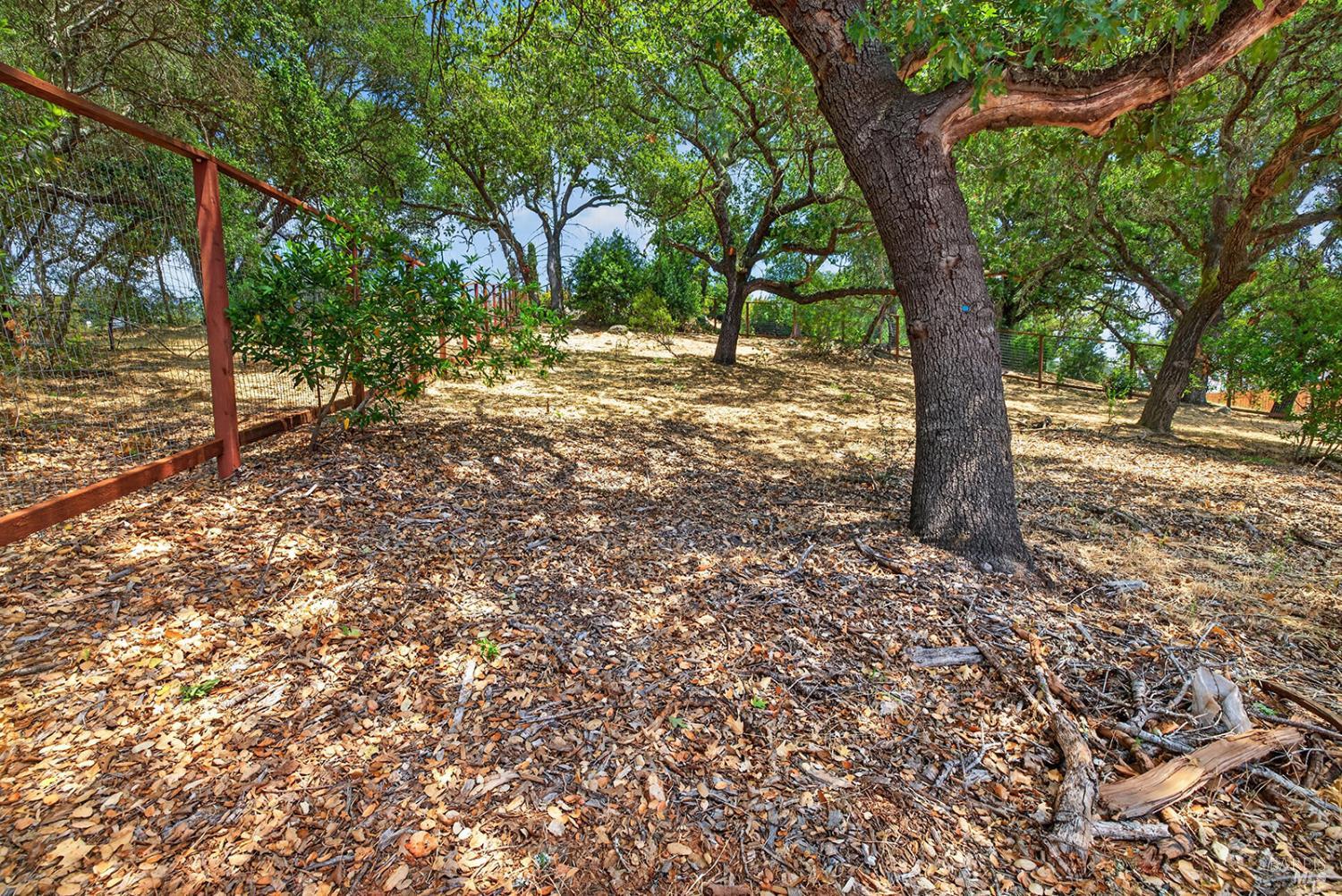 1907 Carlile Place Santa Rosa CA 95403