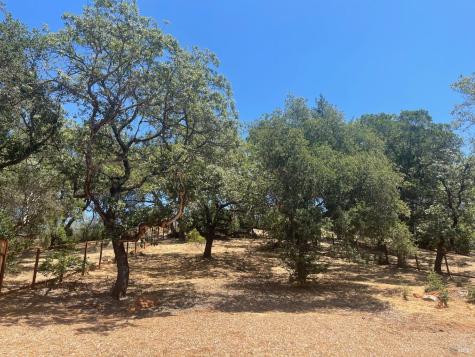 1907 Carlile Place Santa Rosa CA 95403