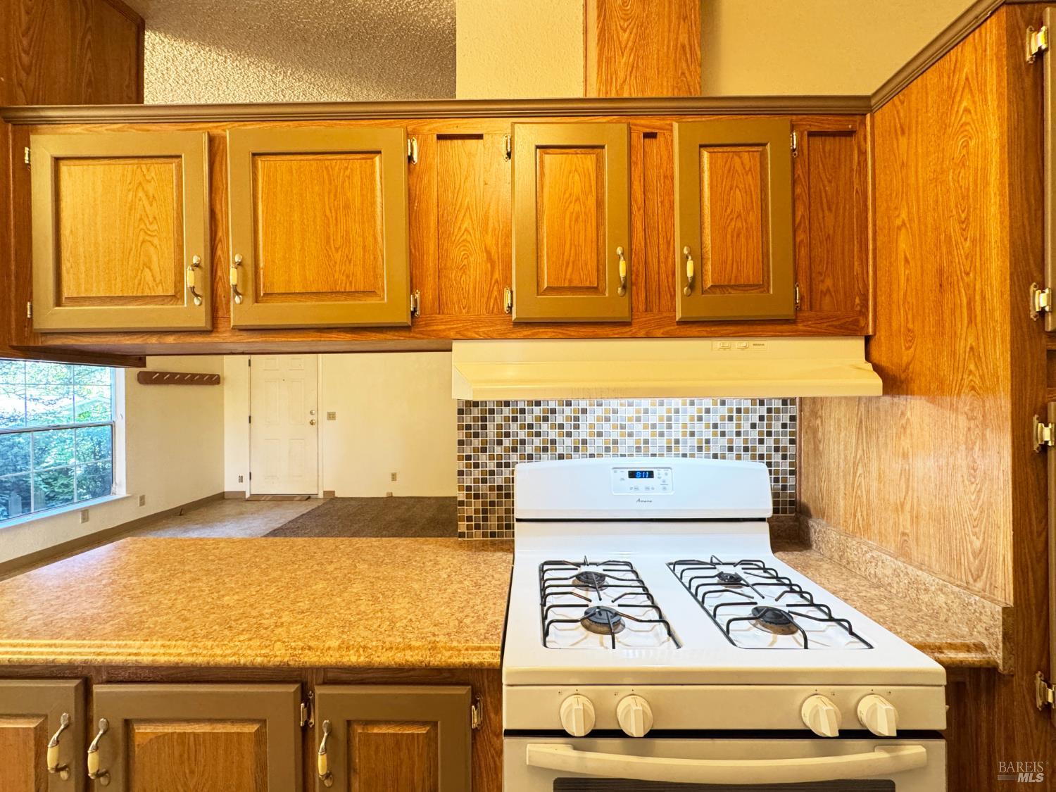 25799 Madrone Drive Willits CA 95490