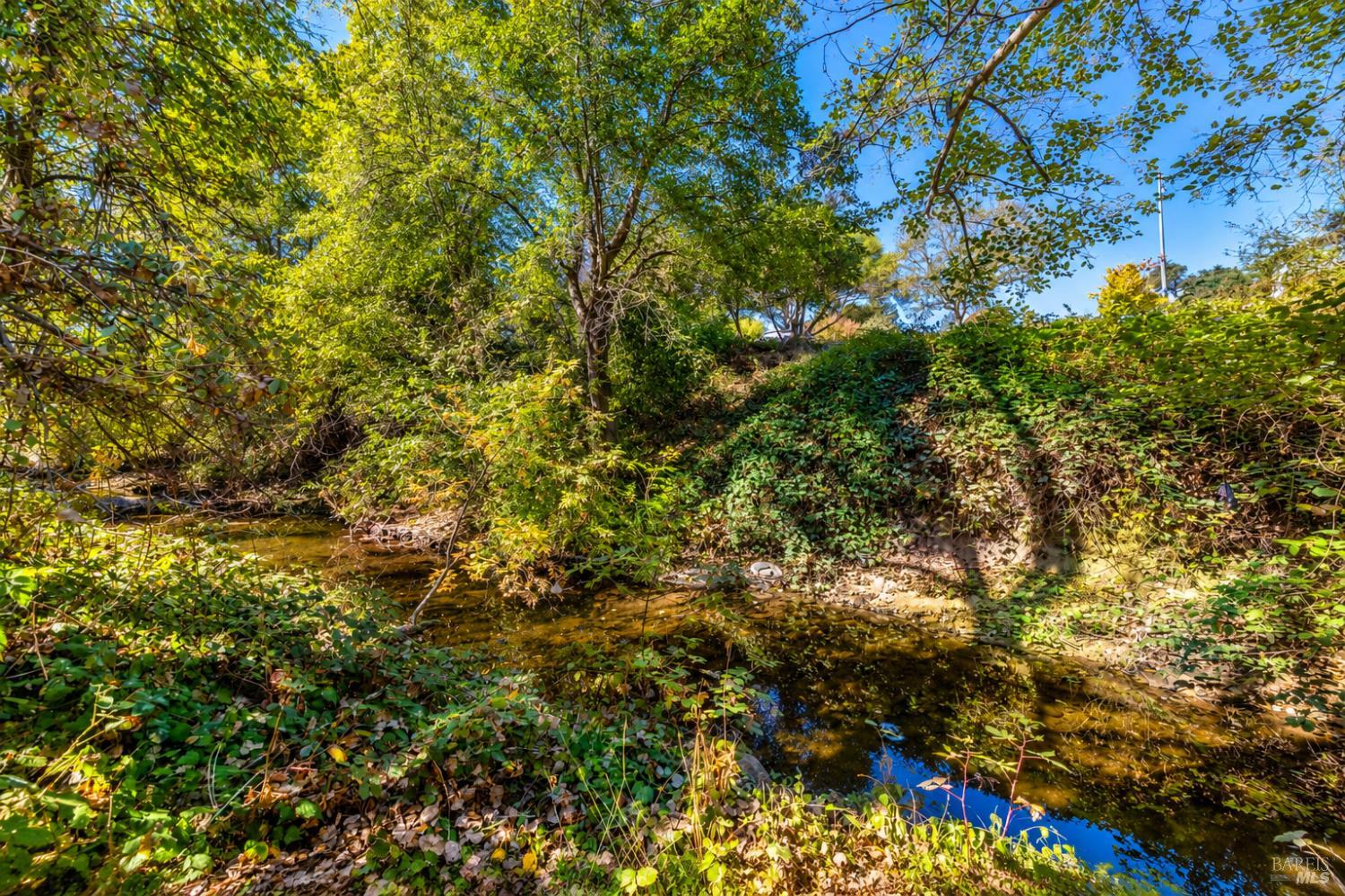 1 Creekview Court Santa Rosa CA 95409