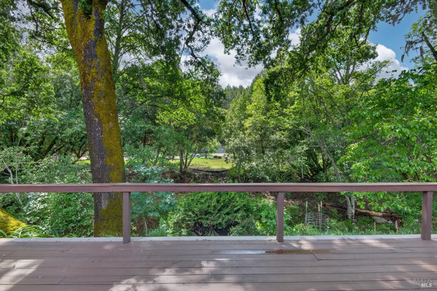 6514 Meadowgreen Place Santa Rosa CA 95409