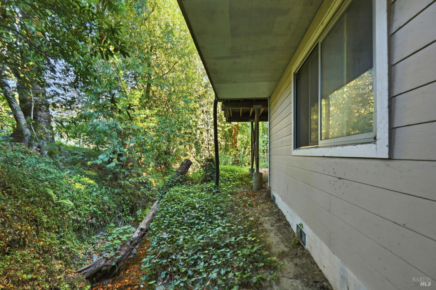 11395 Bodega Highway Sebastopol CA 95472