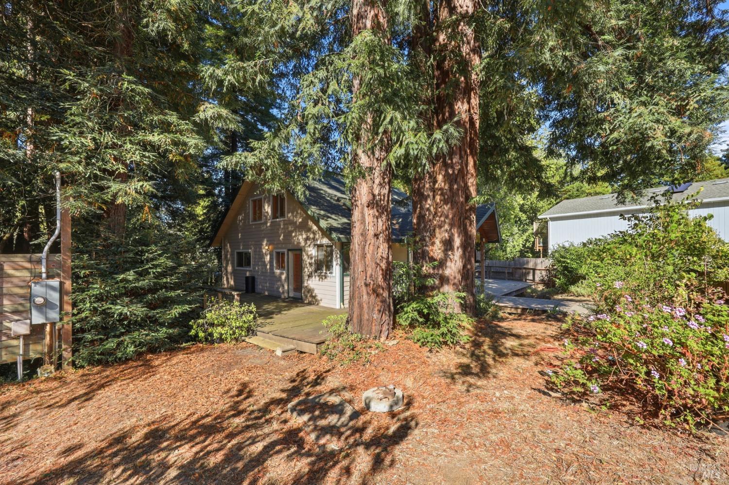 11395 Bodega Highway Sebastopol CA 95472